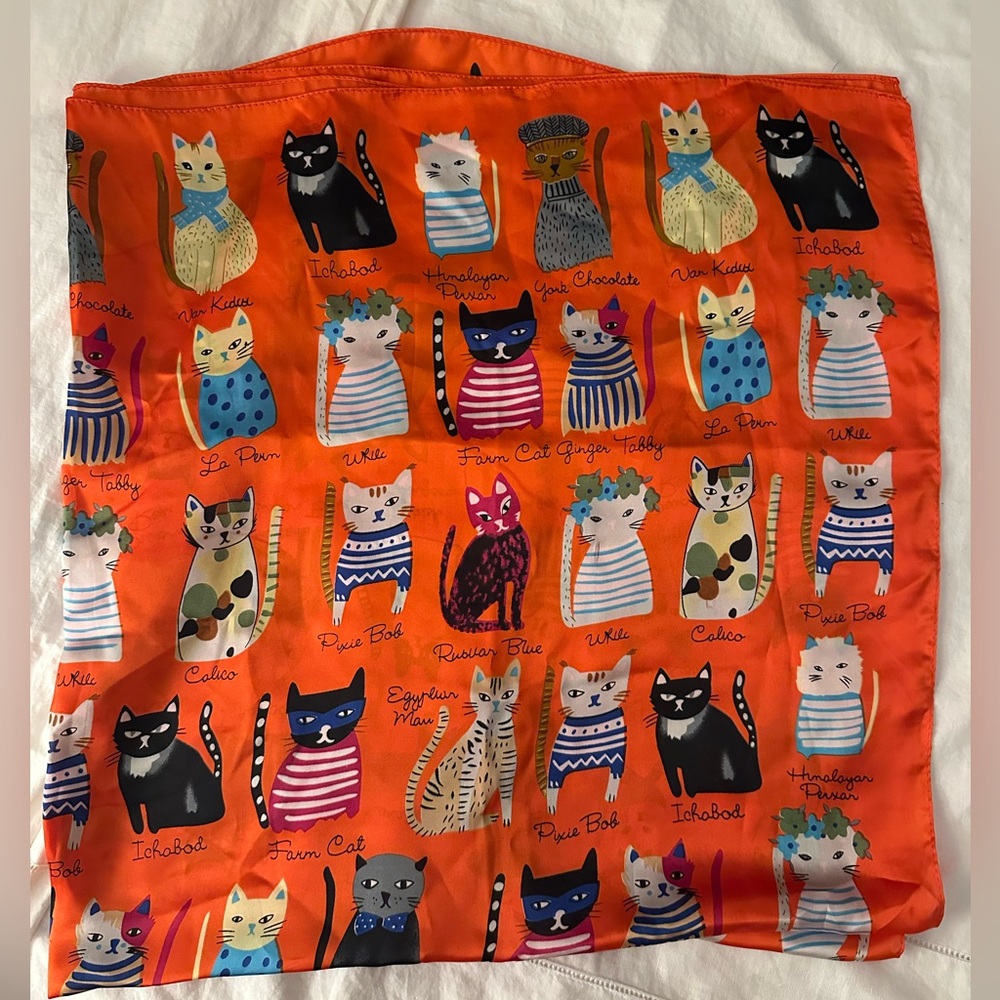 Colorful Cat Print Scarf